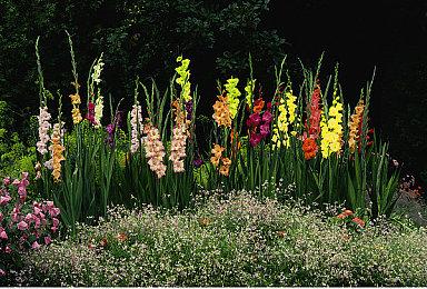 《死首残蜕》登陆Steam正式推出 好评恐怖冒险